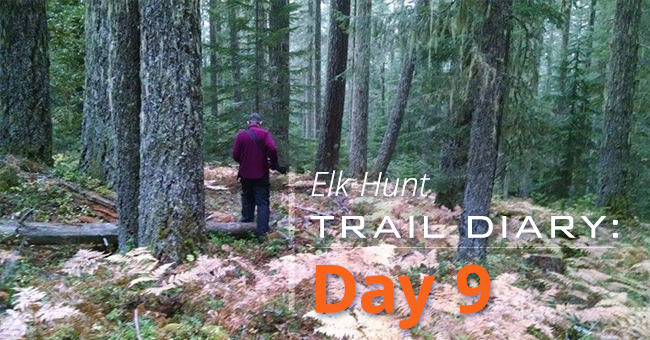 Elk Hunt Trail Diary: Day 9
