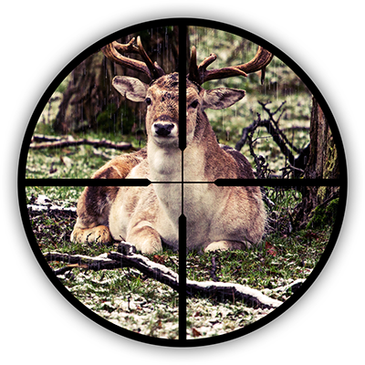 rifle scopes image of hunting