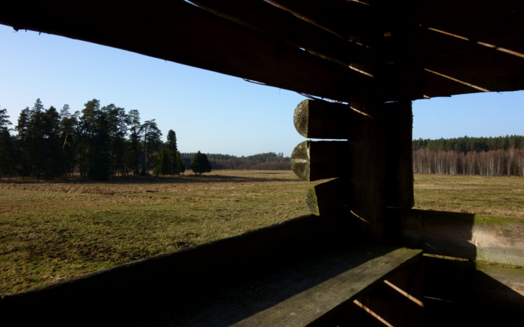 Hunting Blinds to Improve Your Chances in the Field